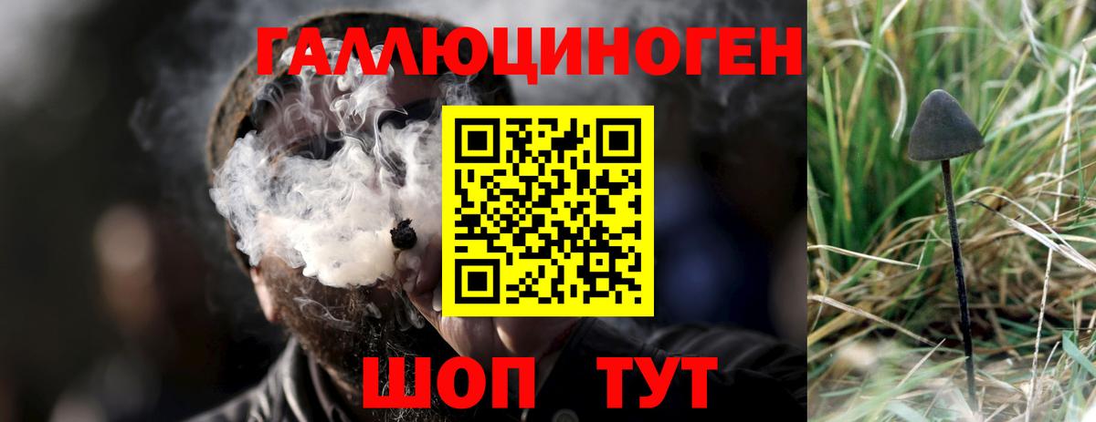 Коряжма  Галлюциногенные грибы MAGIC MUSHROOMS  Вход с VPN 
